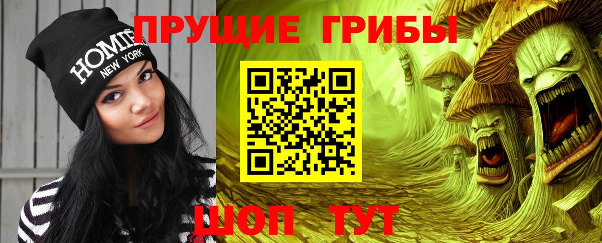 Псилоцибиновые грибы Psilocybe Алексеевка