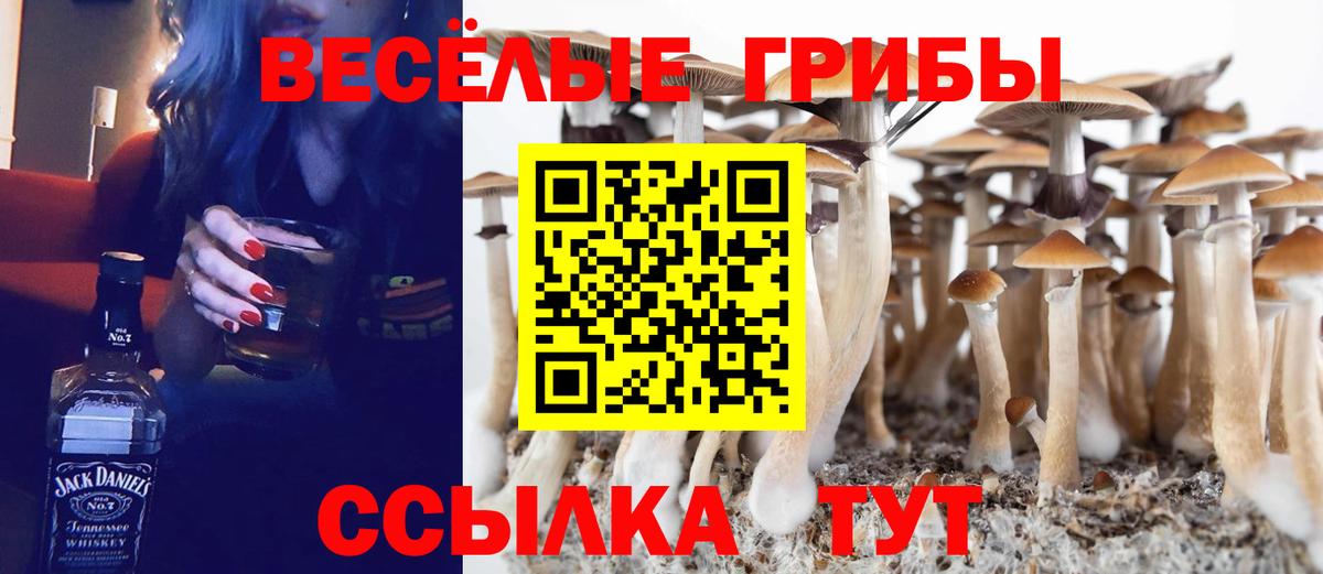 Мефедрон  Вход с VPN  ГАШ  Кокаин  Бошки Шишки  Алексеевка  ГАШИШ  Меф МЯУ МЯУ  
